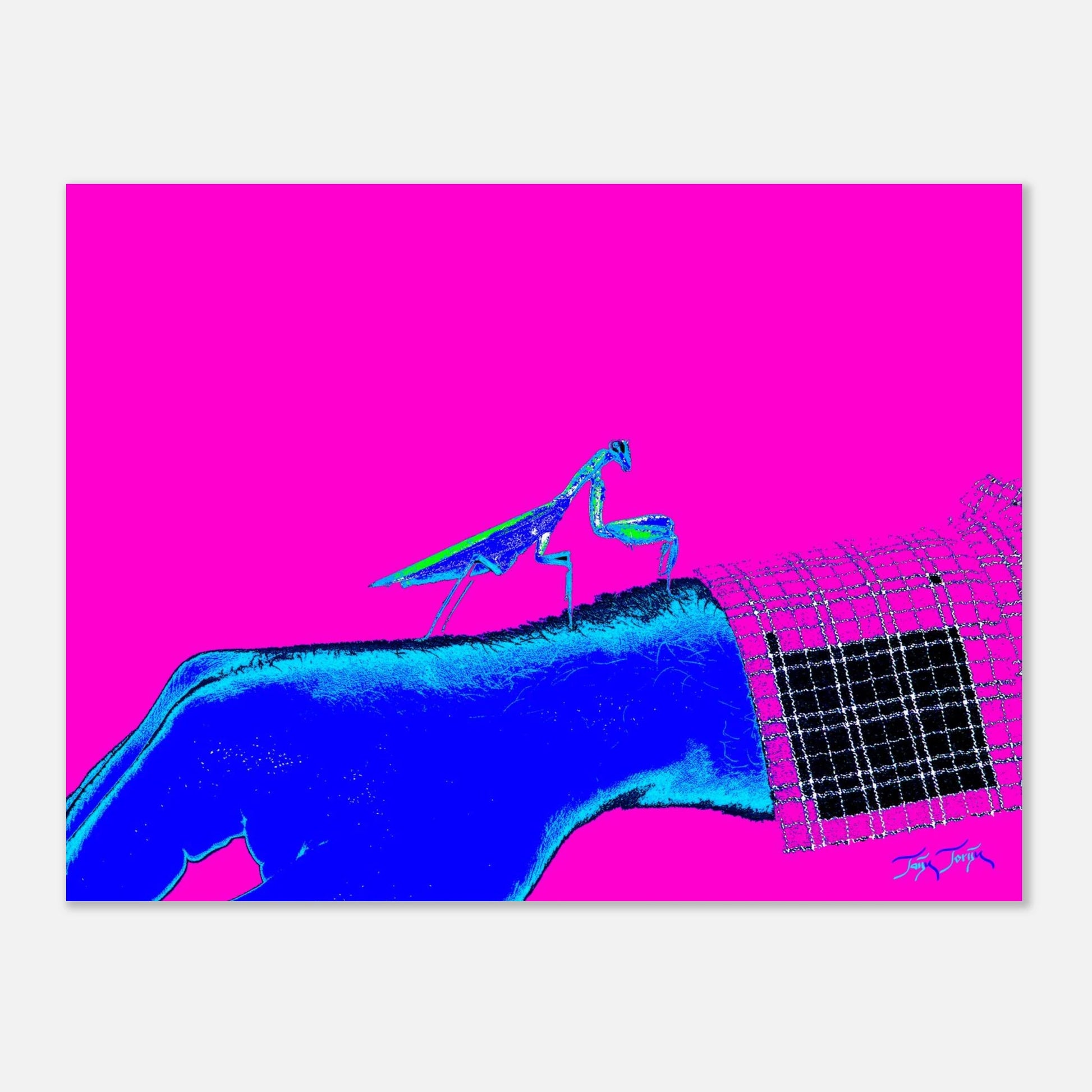 02a3fdb9-3a35-4d87-bef7-684bbe31602e