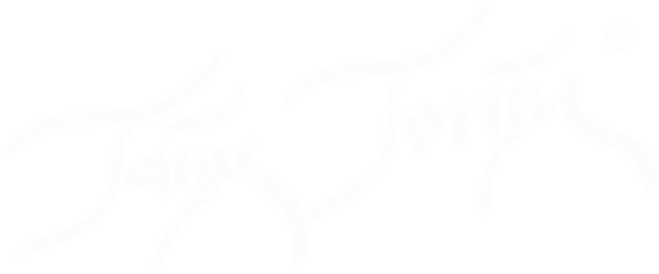 Taijn Torijn - Art & Design that make you smile!
