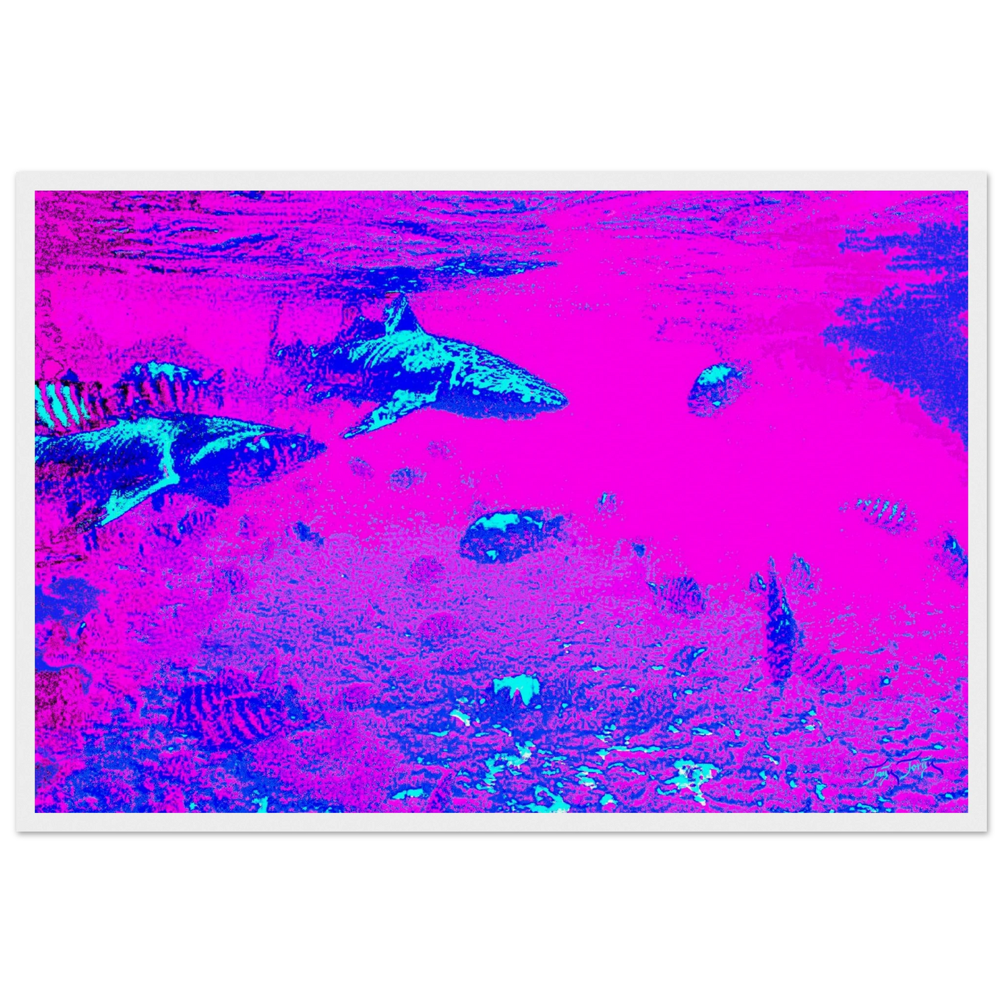 2e20b9da-7dee-43e8-9148-8a682ffc9660