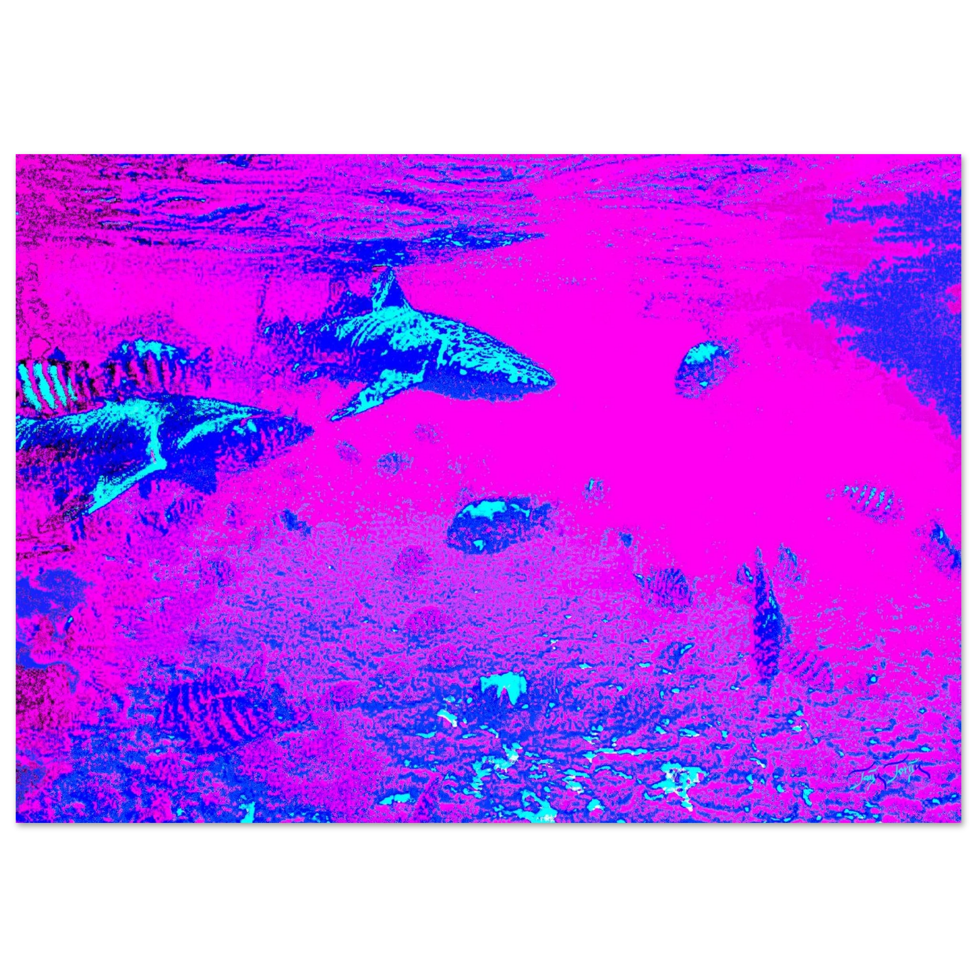 80807943-0e58-4463-b925-2981011008d4