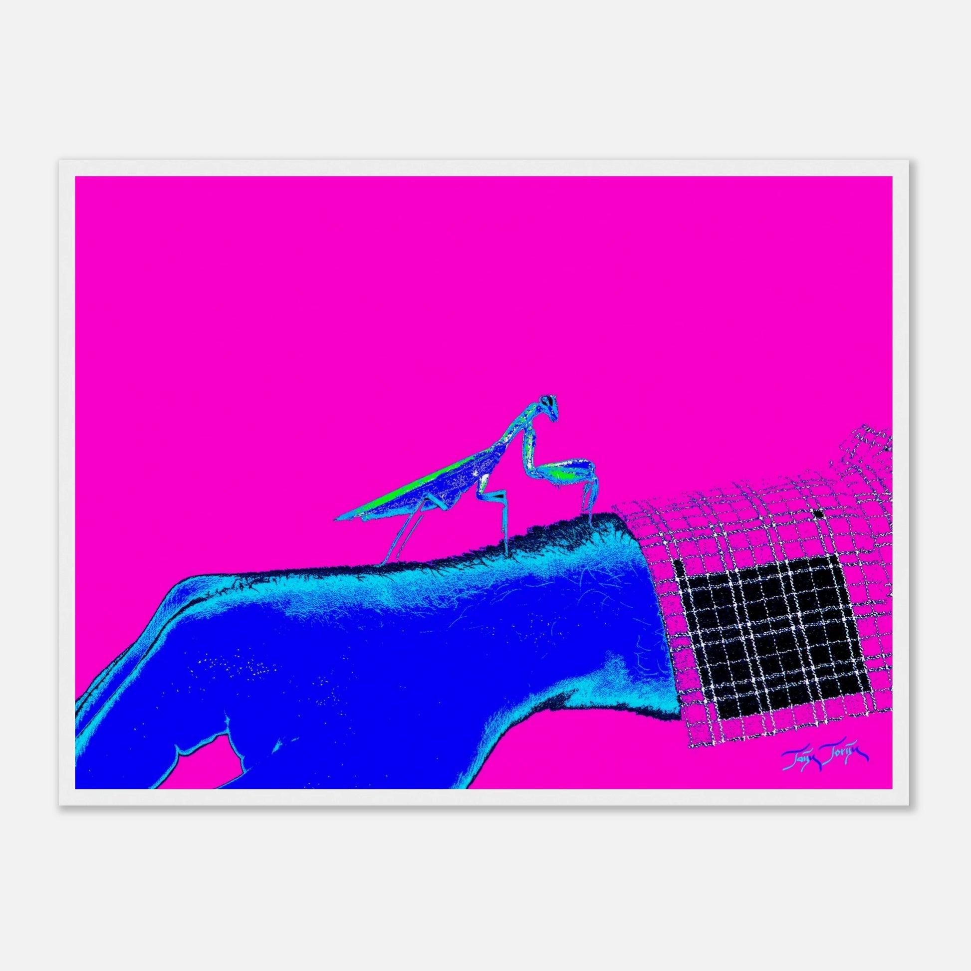 885f160a-6994-4c16-8cdc-9f1eebbf0c81