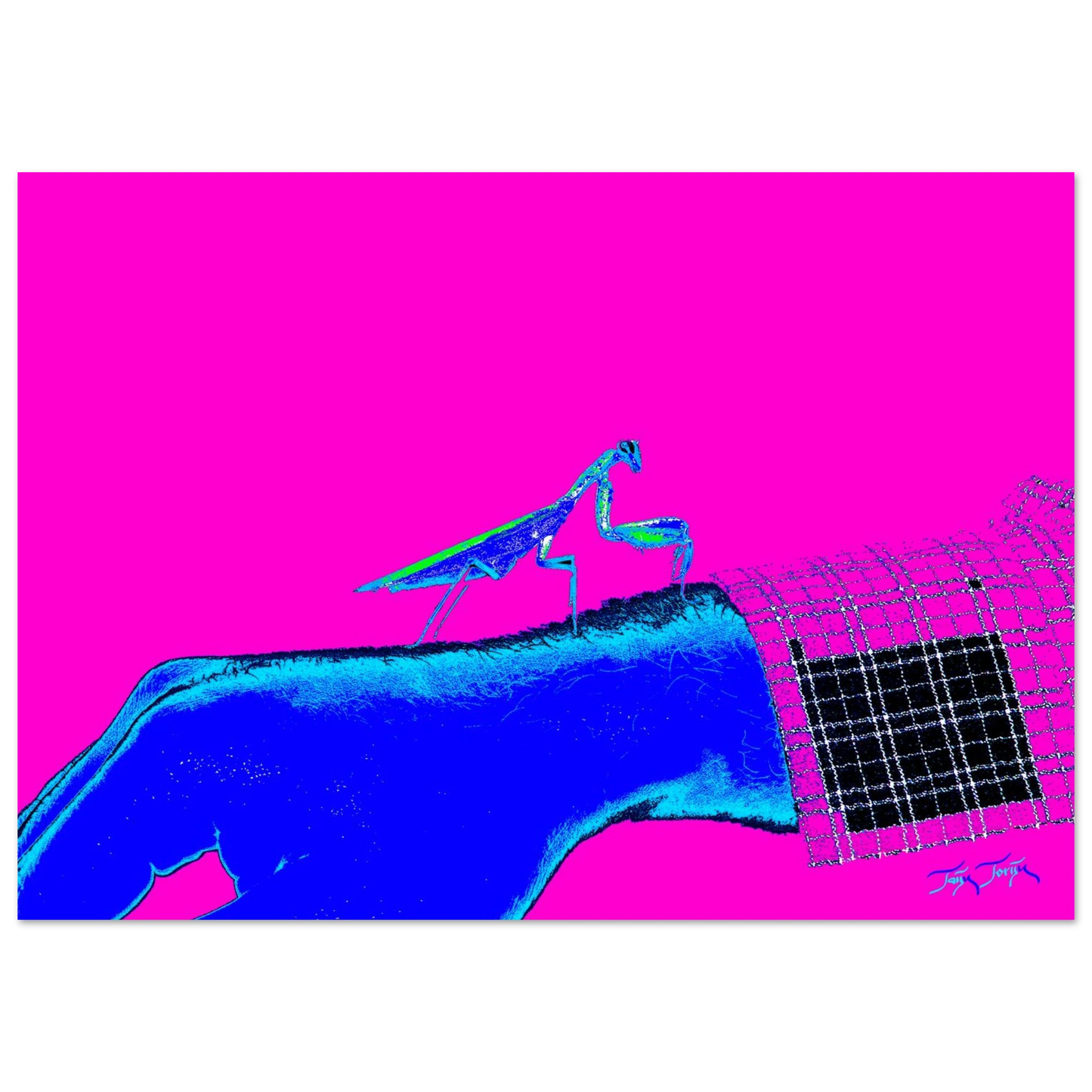 cc12368d-a7c1-4694-9aa1-f42724399db6