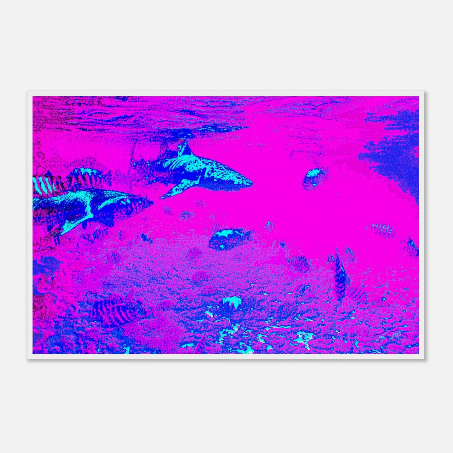 cd49513e-3921-41b1-ab33-c892a1884258