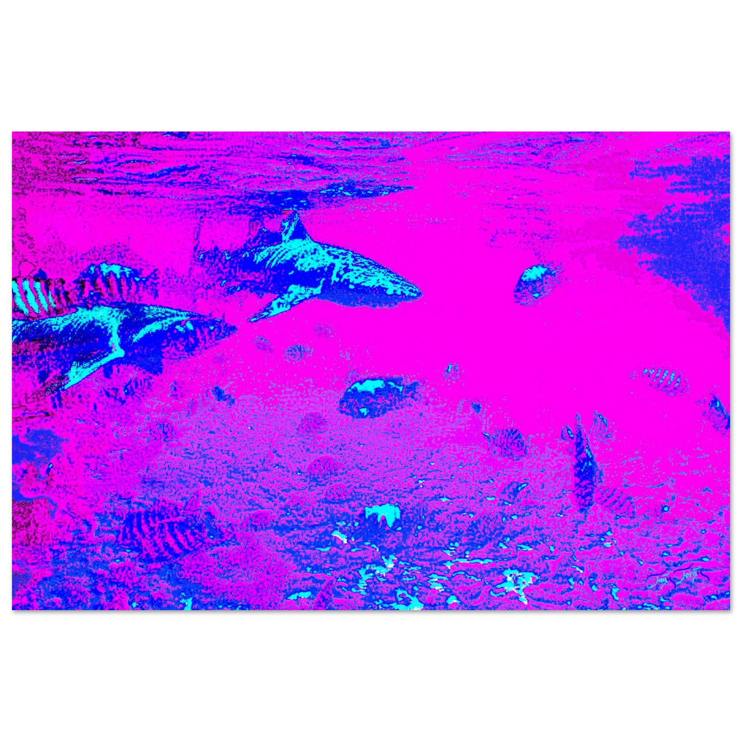 1ca089d2-ac45-4aec-a3a0-fcf8122338b1