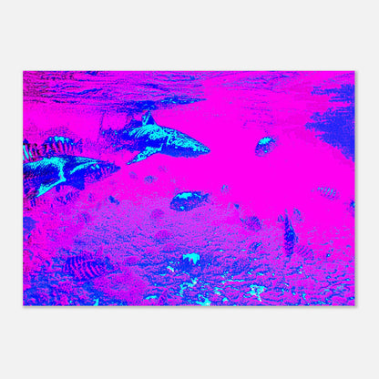 1f13fd55-a559-4e5c-bce3-f4c0b81243f1