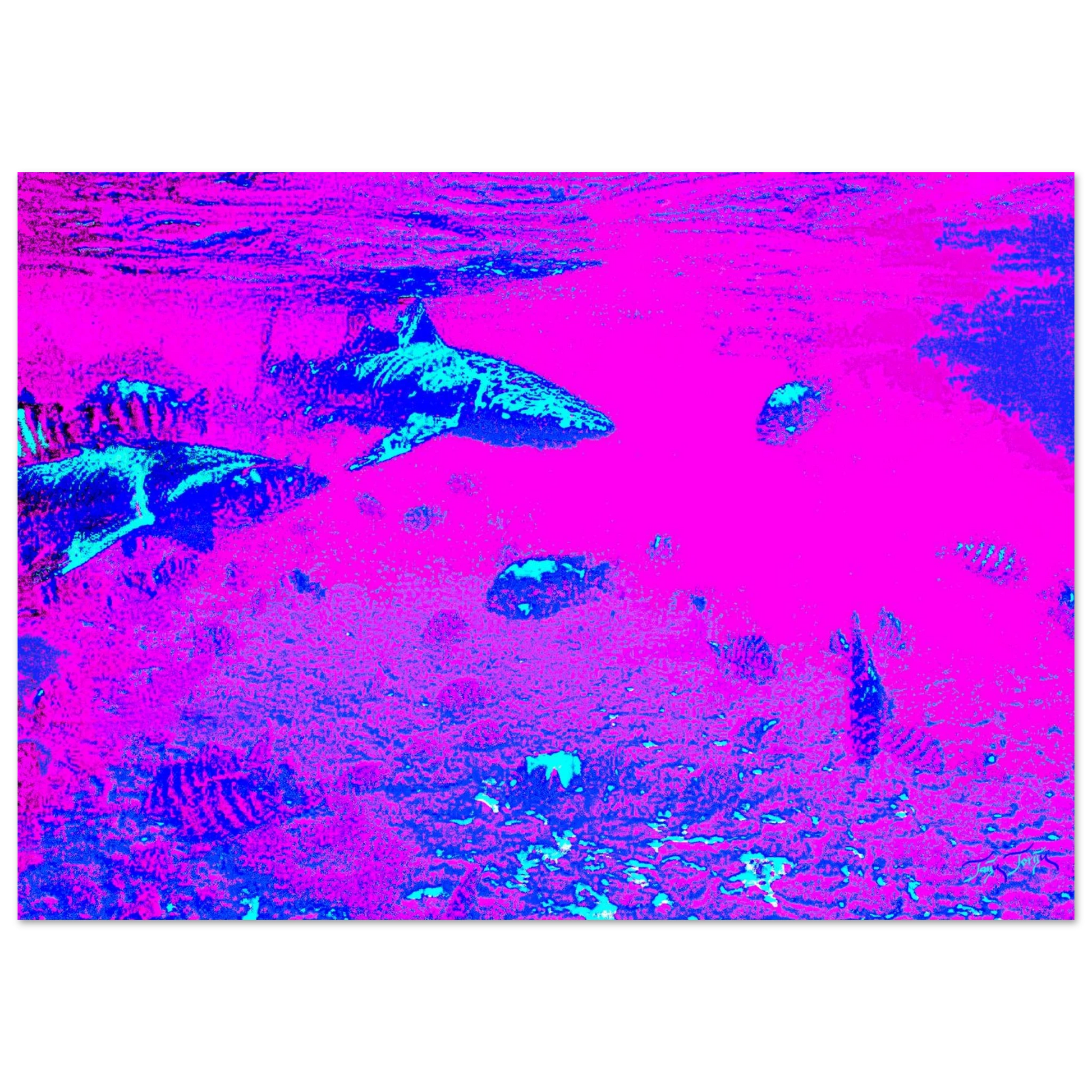21078e62-135c-4128-a0ef-4456d51f7219