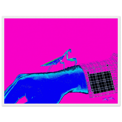 29292008-2f5c-400d-a9c7-8c972cb32e33