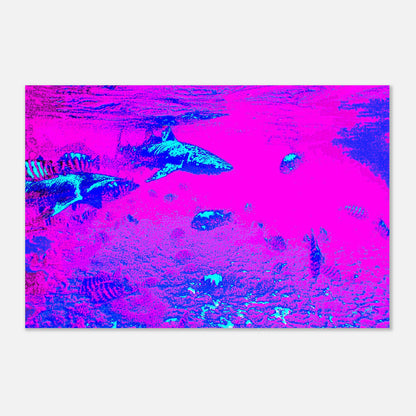 5c70ddb0-5989-4d52-a2f5-b9c520d92f32