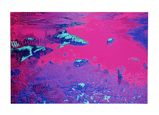 "Blacktip Reef Sharks - Bora Bora" - - - OPEN EDITION - - - Canvas