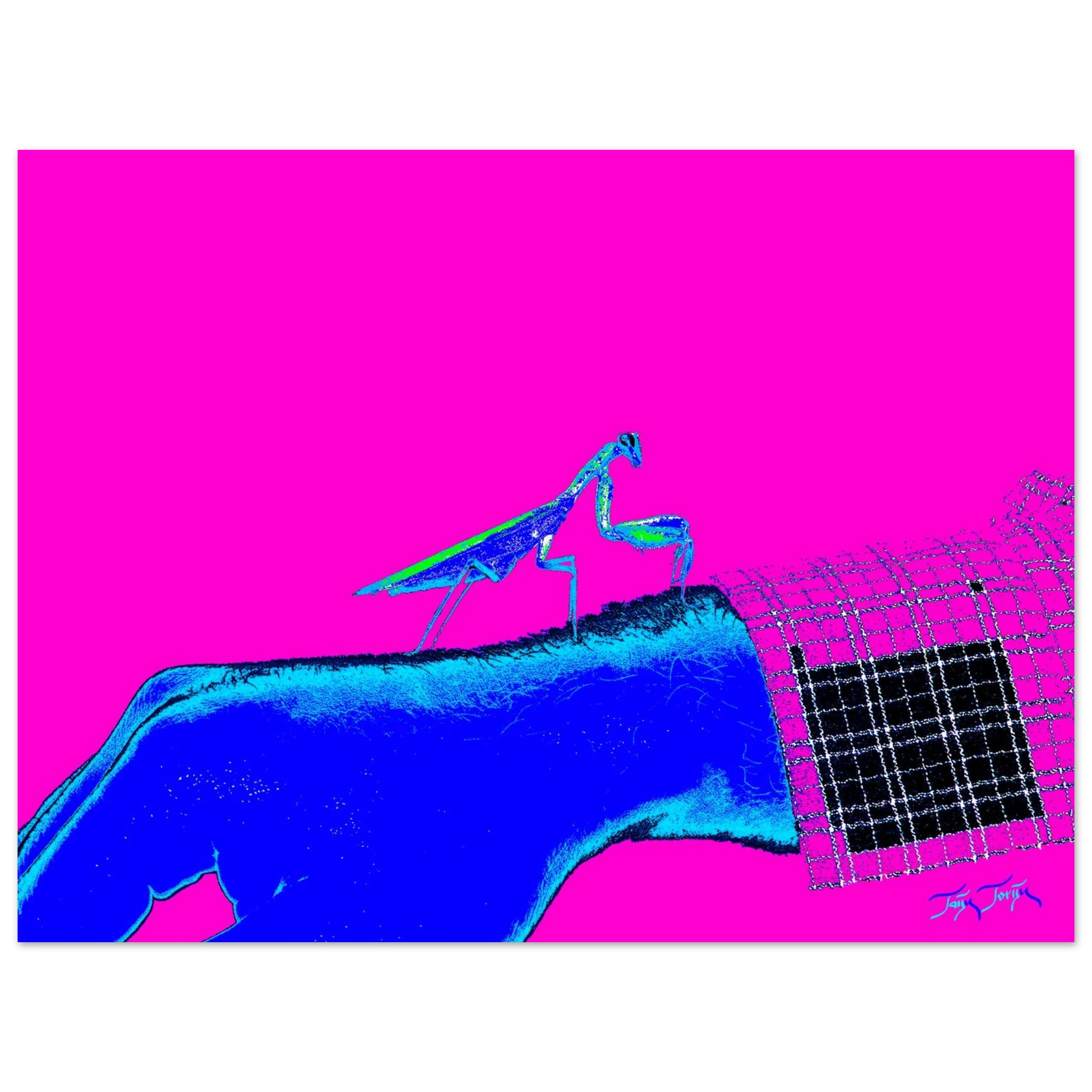 e7d8143c-0ceb-4cdf-a669-524aa88993a5